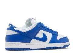 Nike Dunk Low Retro SP 'Kentucky' 8 Nike Dunk Low Retro SP 'Kentucky' -Street Sneaker Shop 3 20