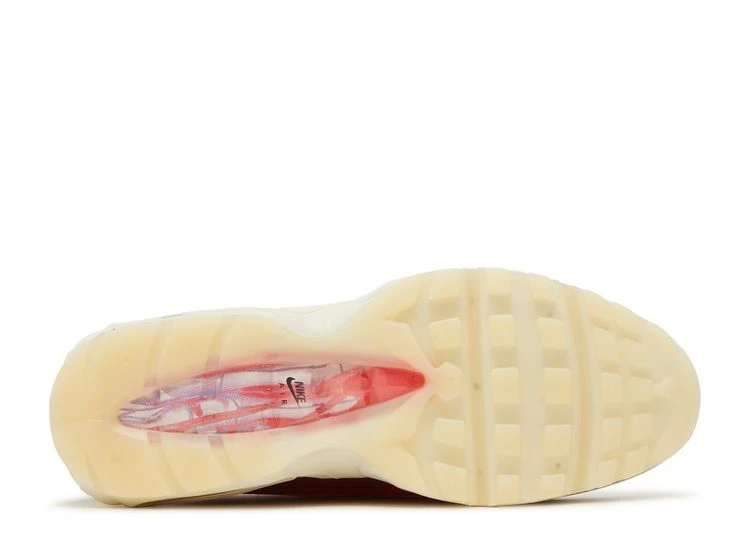 Nike Air Max 95 'Anatomy Of Air' 6 Nike Air Max 95 'Anatomy Of Air' - Image 4