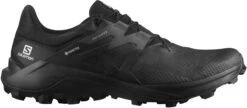 Salomon Men's Wildcross 2 GTX (Black/Black/Ebony)